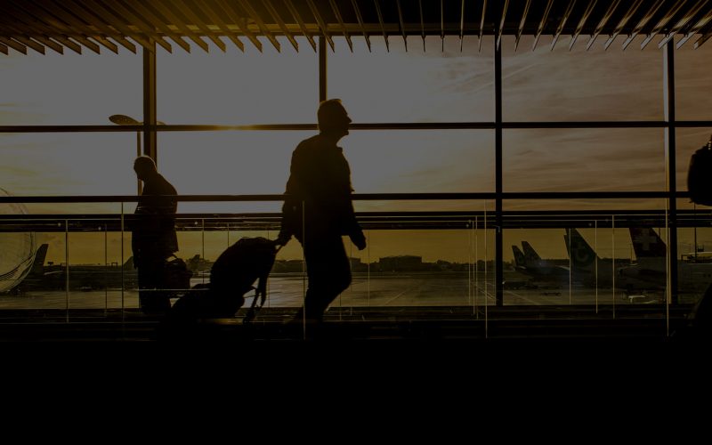 Case Study Spotlight: ANA Aeroportos