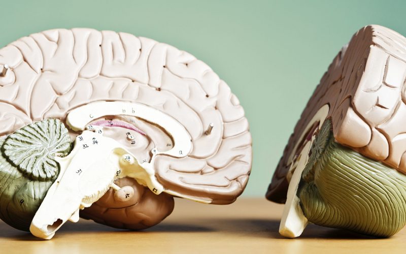 Remote Office Tech Tip: Split Brain