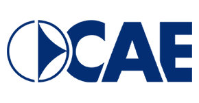 CAE S.p.A. reduces hardware dependency, energy costs and management time with SvSAN