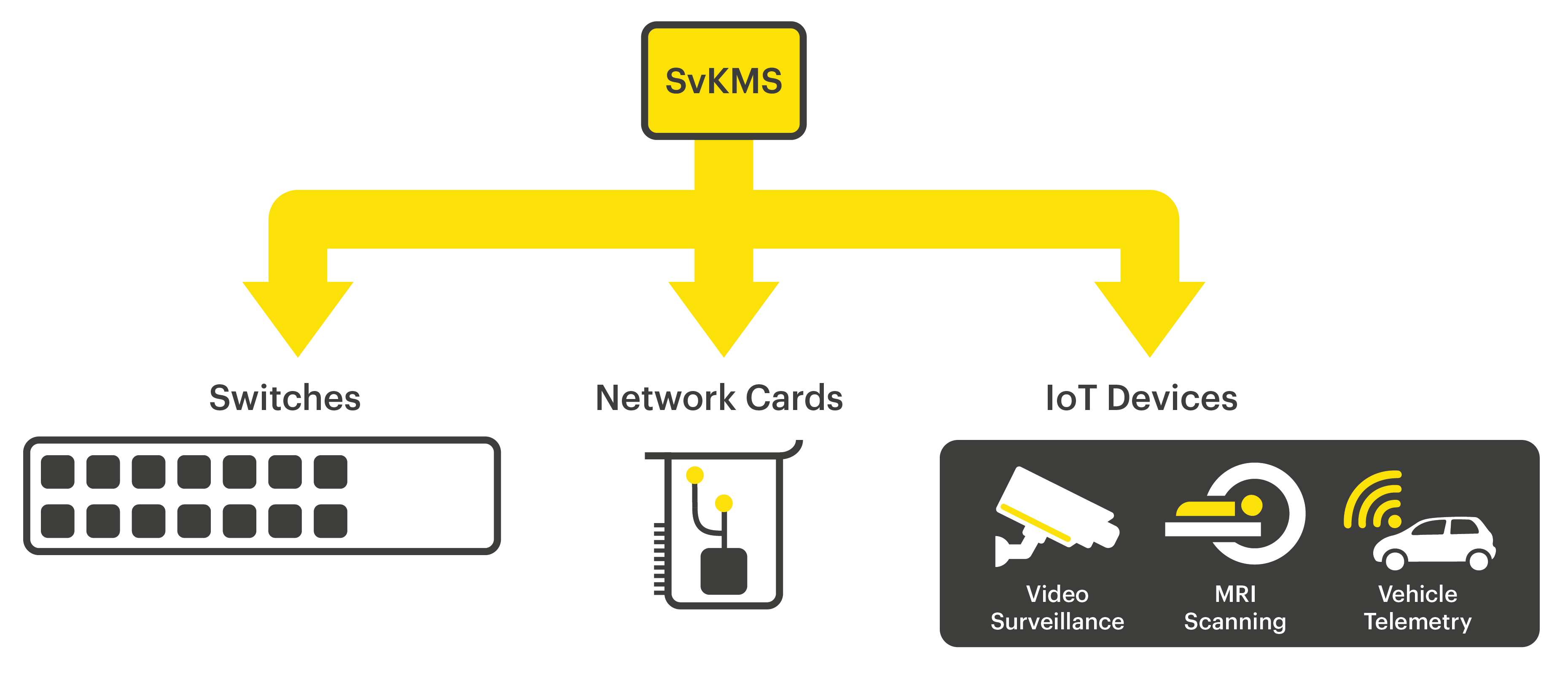 SvKMS Embedded Devices-01