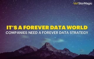 Forever Data Strategy