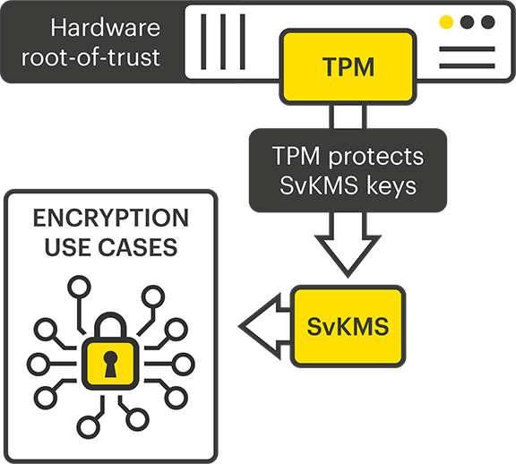 TPM-Diagramm für Trusted Computing (vertrauenswürdiges Computing)