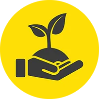 Sustainable Solutions